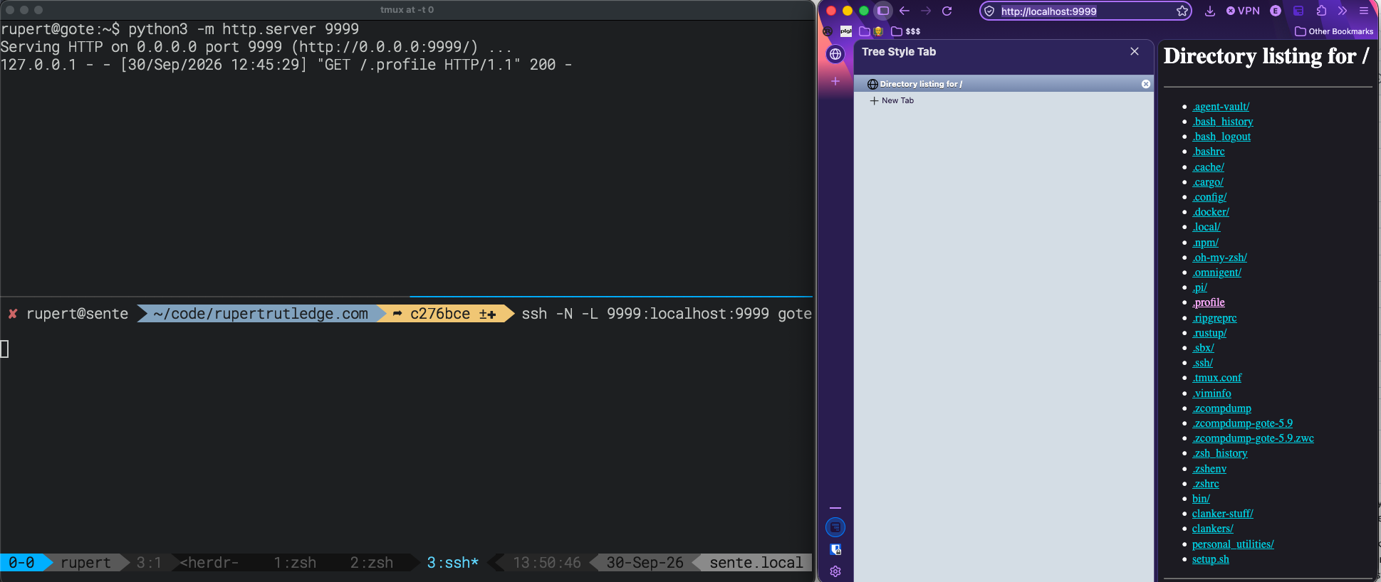 Example of webserver access using these commands